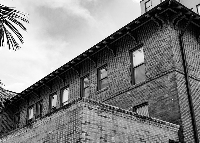 wolontariusze sadzą rośliny w przestrzeni miejskiej